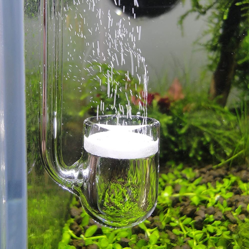 Aquarium Plant Design - D0AD Diffuseur CO2 en verre pour