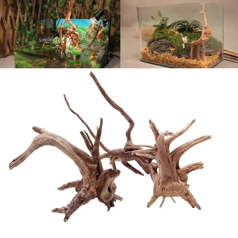 Aquarium Planted Soil - Tronc d'Arbre Naturel en Bois Flotté
