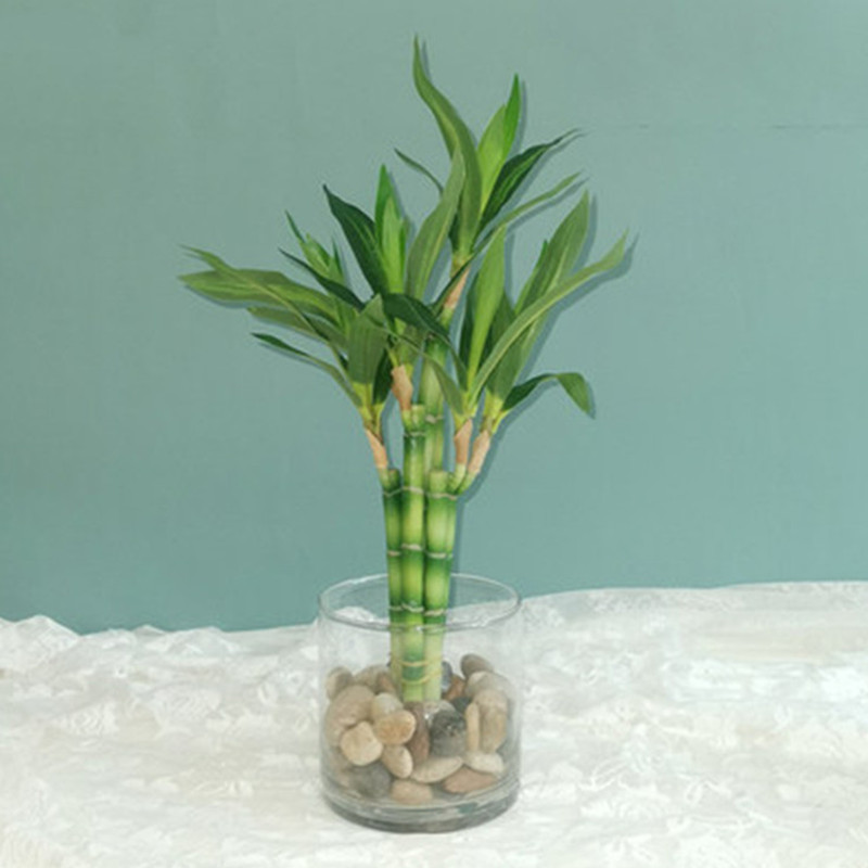 Aquarium Plant In Pot - Nouvelle plante artificielle Bambou porte-bonheur de