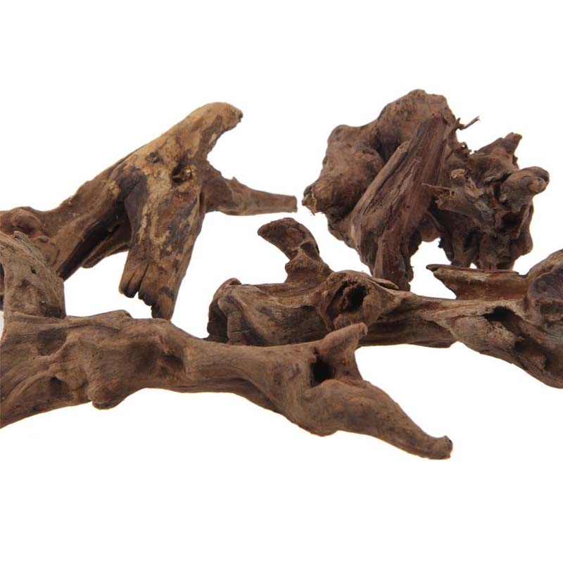 Aquarium Plant Root Tabs - Bois naturel pour aquarium, 1 pièce,