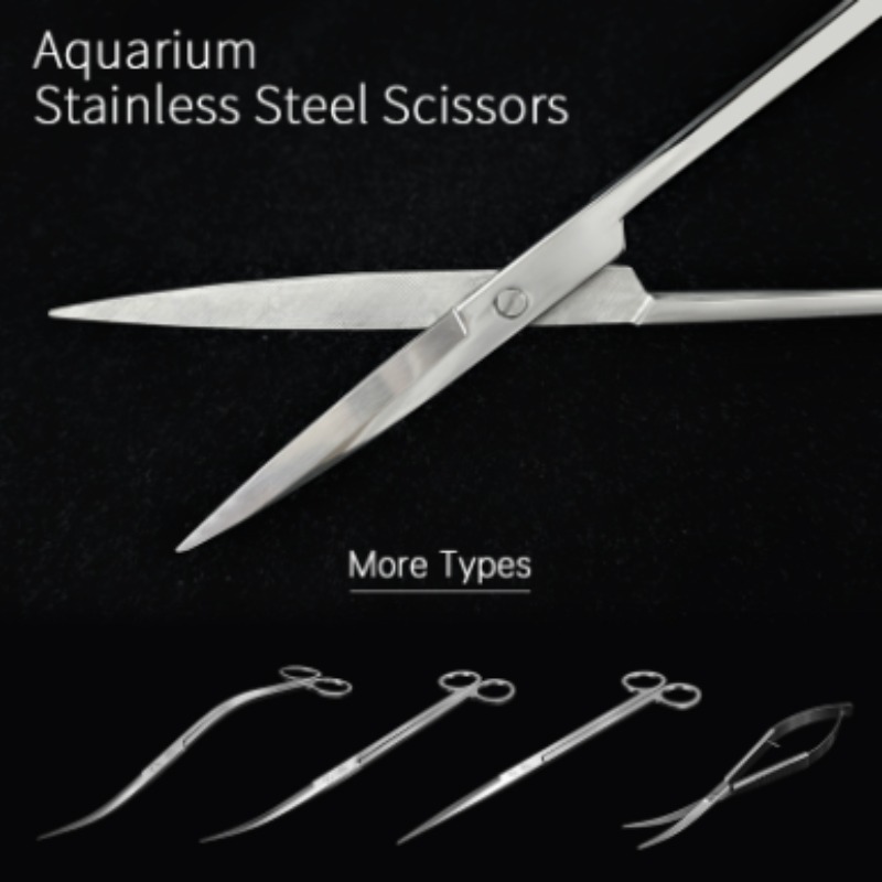 Planted Aquarium Tools - Ciseaux aquatiques en acier inoxydable Week