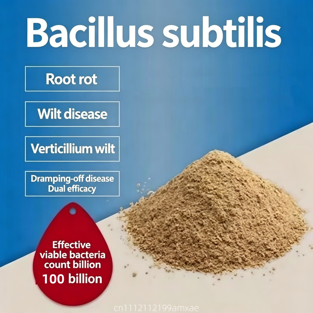 Aquarium Planted Soil - Poudre de Bacillus Subtilis à haute