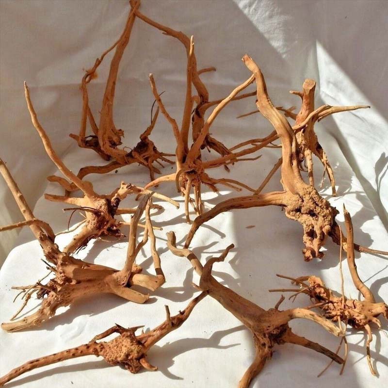 Aquarium Plant Root Tabs - 1 pièce de bois flotté pour