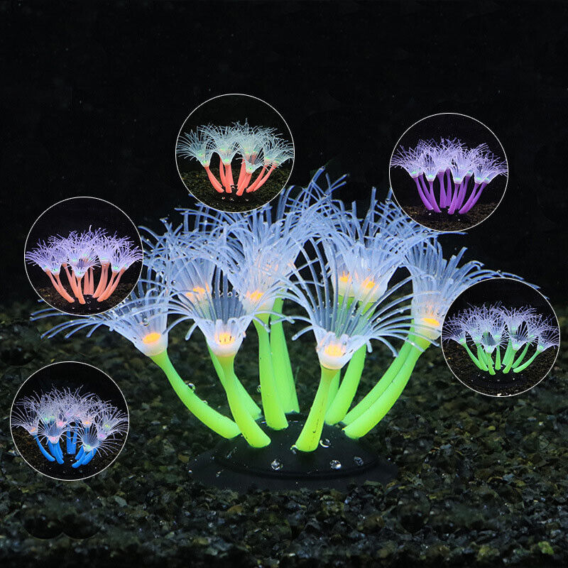 Décoration d'aquarium sous-mar - Aquarium Plant Design avis et prix