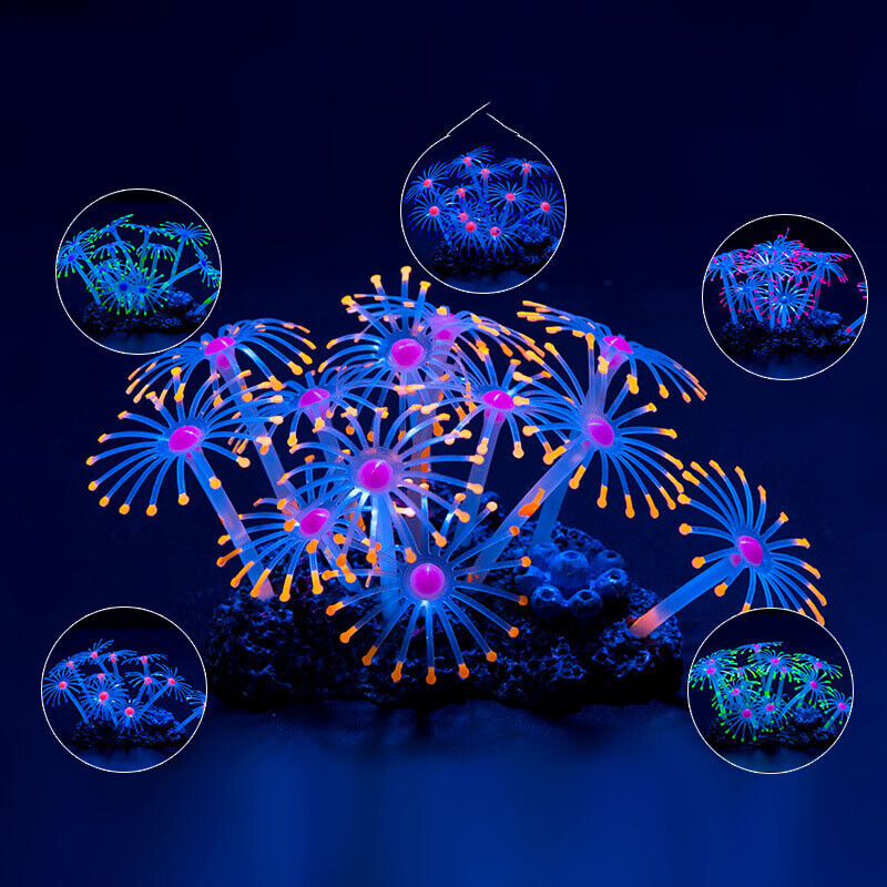 Décoration d'aquarium sous-mar - Aquarium Plant Design avis et prix