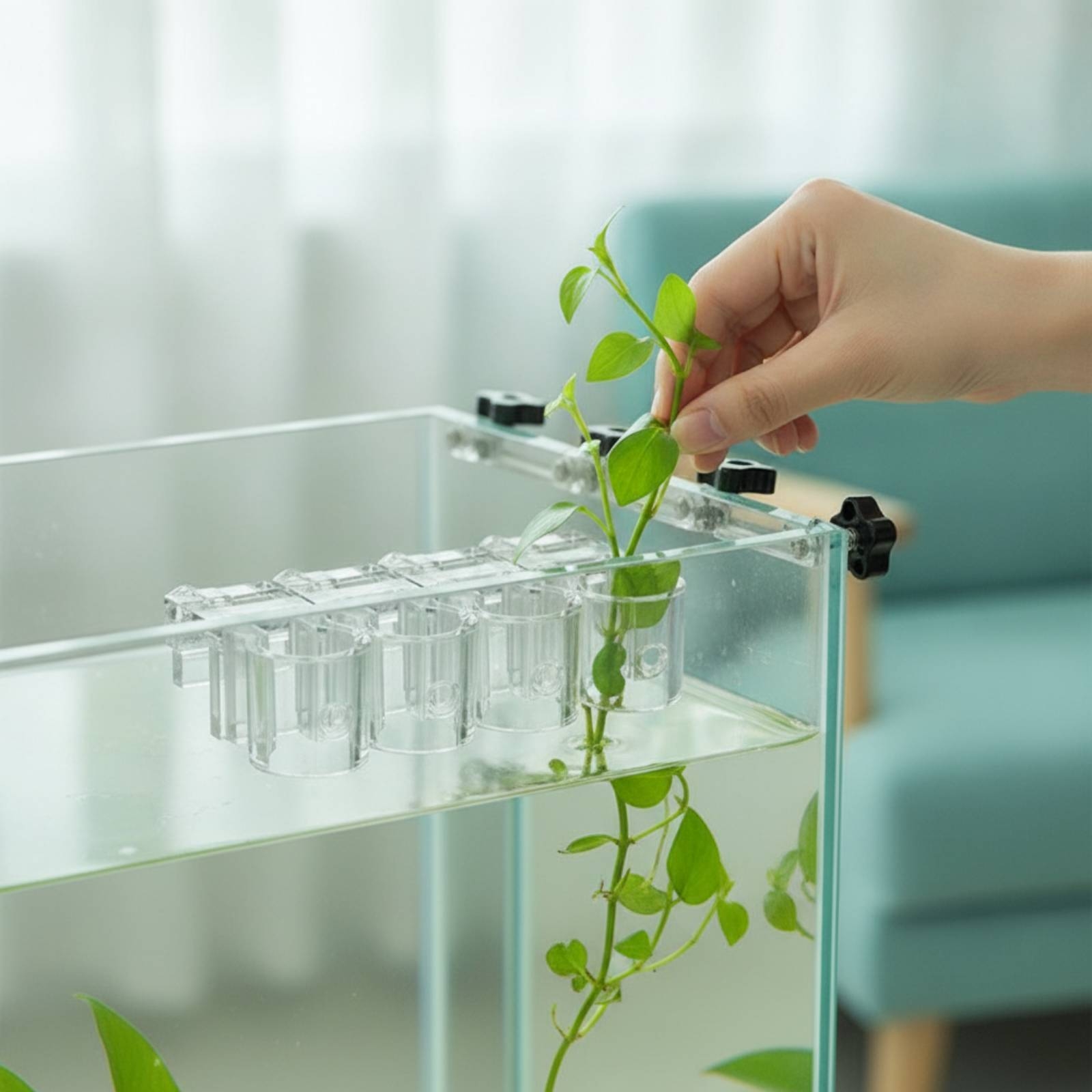 Lot de 6 supports transparents - Aquarium Plants avis et prix