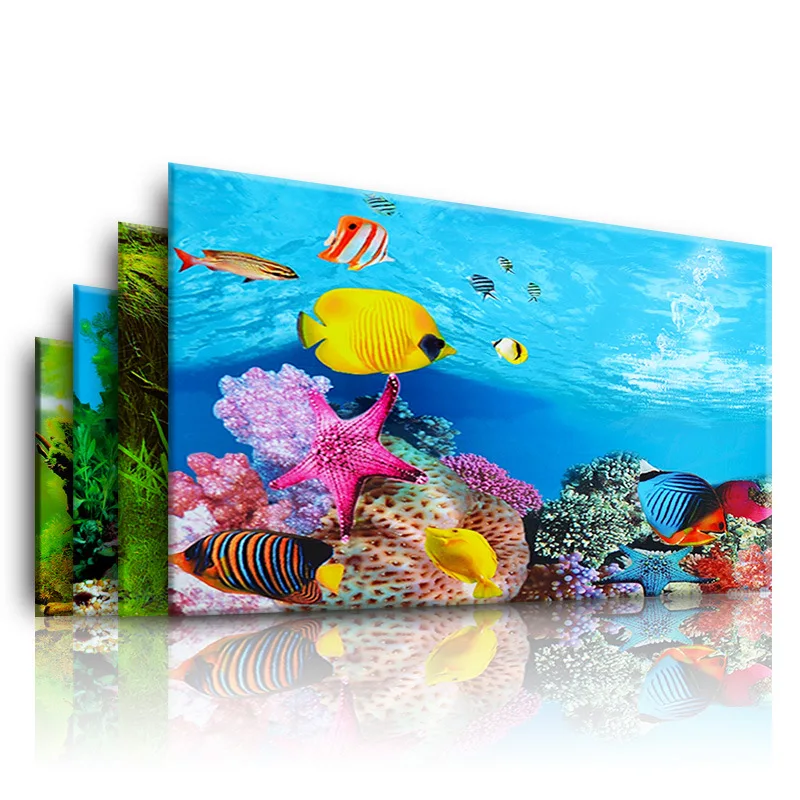Fond pour Aquarium 3d autocoll - Aquarium Plant Design avis et prix