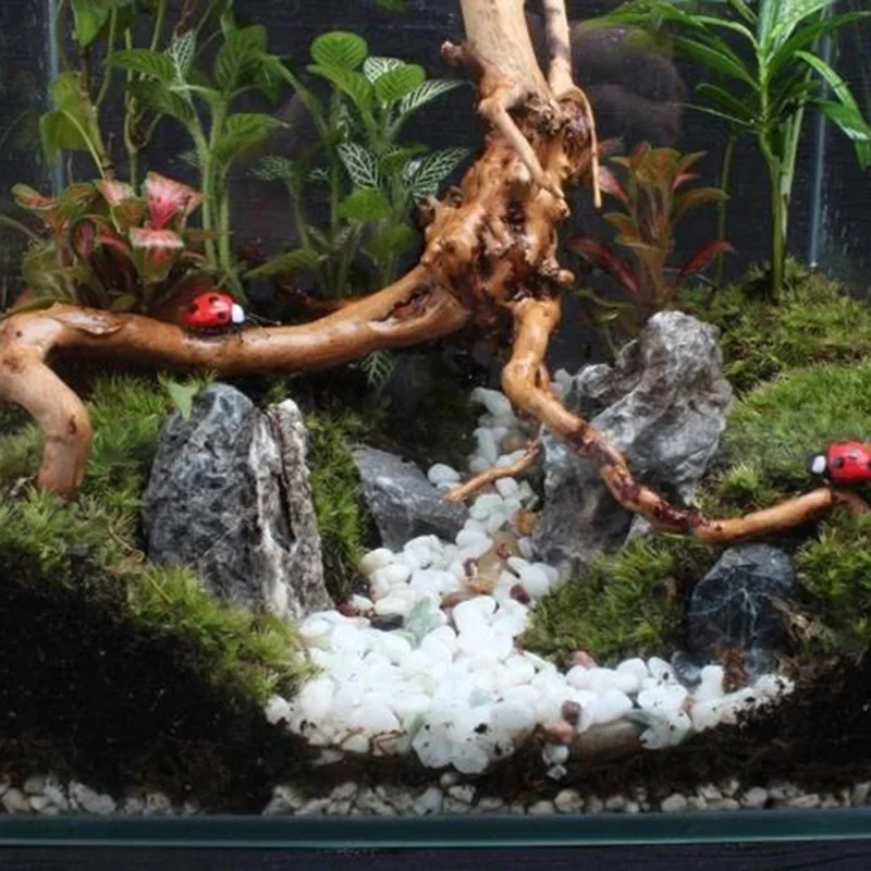 Tronc d'Arbre Naturel en Bois  - Aquarium Planted Soil avis et prix