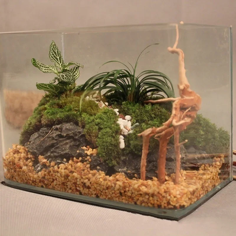 Tronc d'Arbre Naturel en Bois  - Aquarium Planted Soil avis et prix