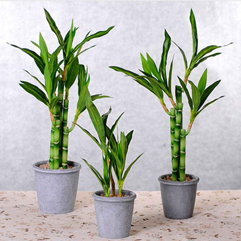 Nouvelle plante artificielle B - Aquarium Plant In Pot avis et prix