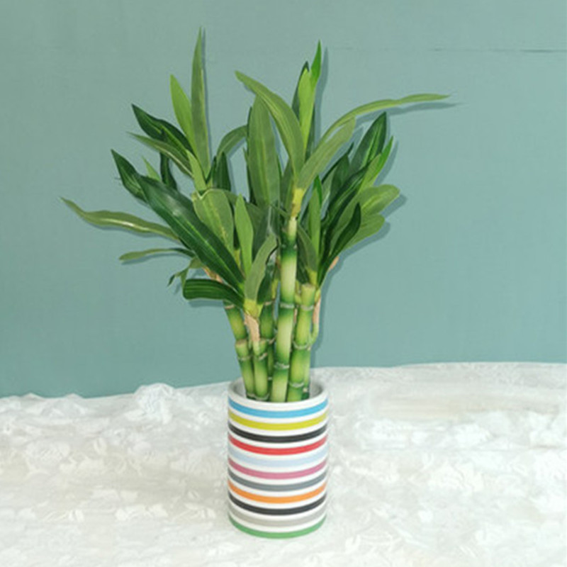 Nouvelle plante artificielle B - Aquarium Plant In Pot avis et prix