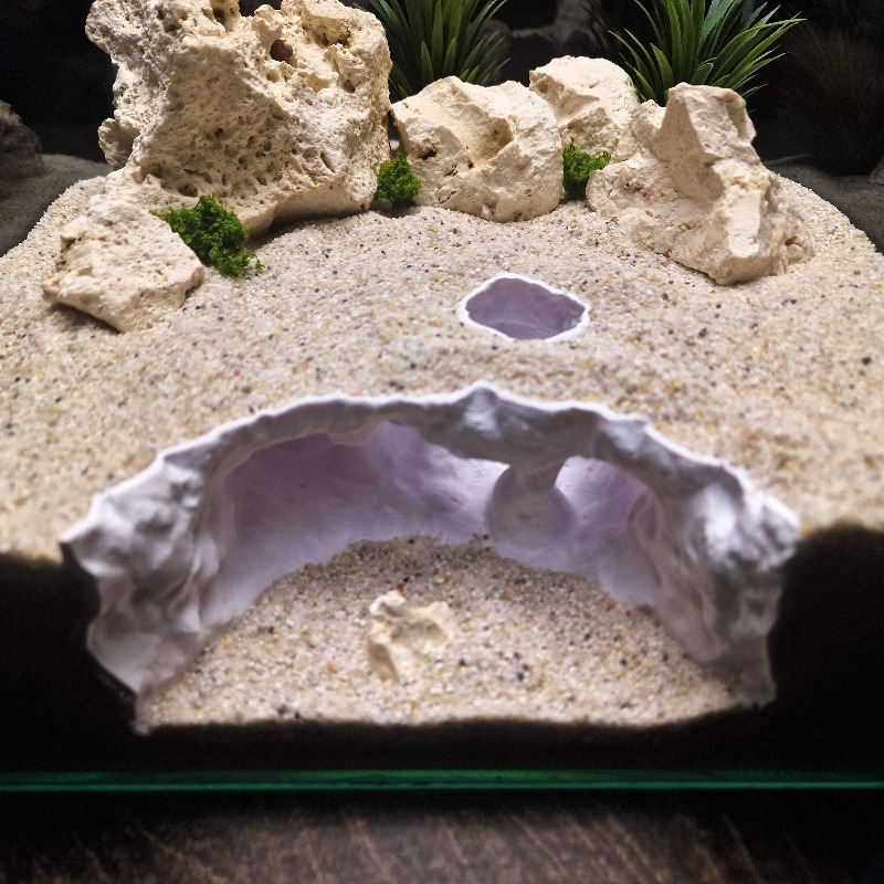 Grotte fourchu imprimée en 3D, - Aquarium Plant Root Tabs avis et prix