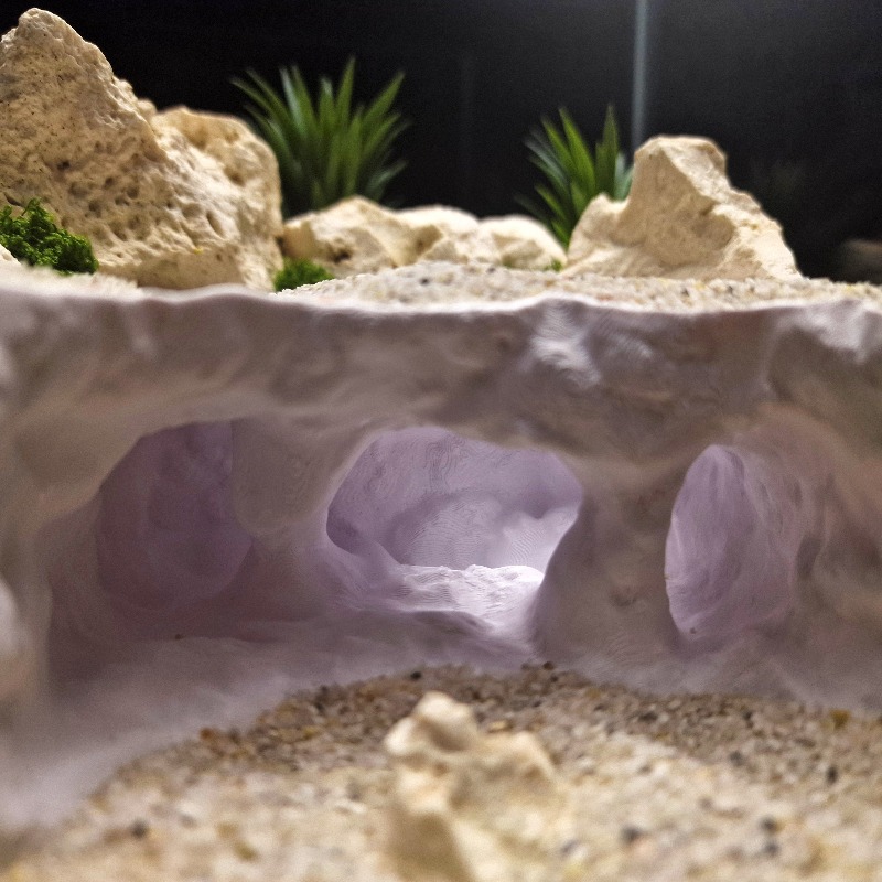 Grotte fourchu imprimée en 3D, - Aquarium Plant Root Tabs avis et prix