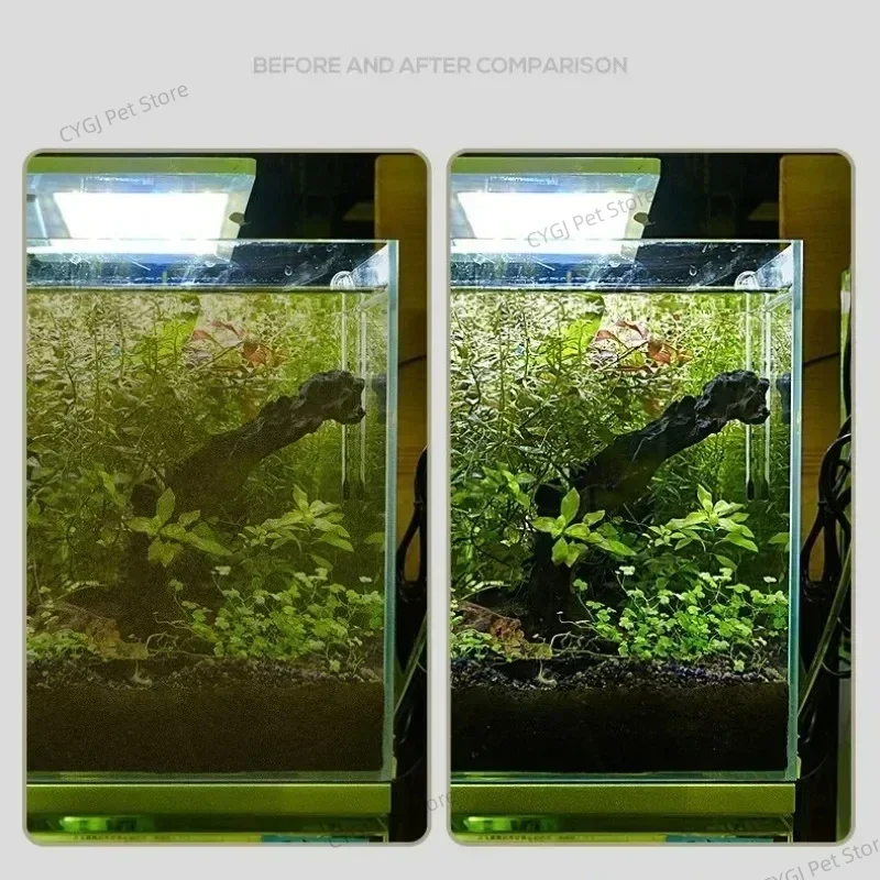 Outil de nettoyage d'aquarium, - Planted Aquarium Tools avis et prix