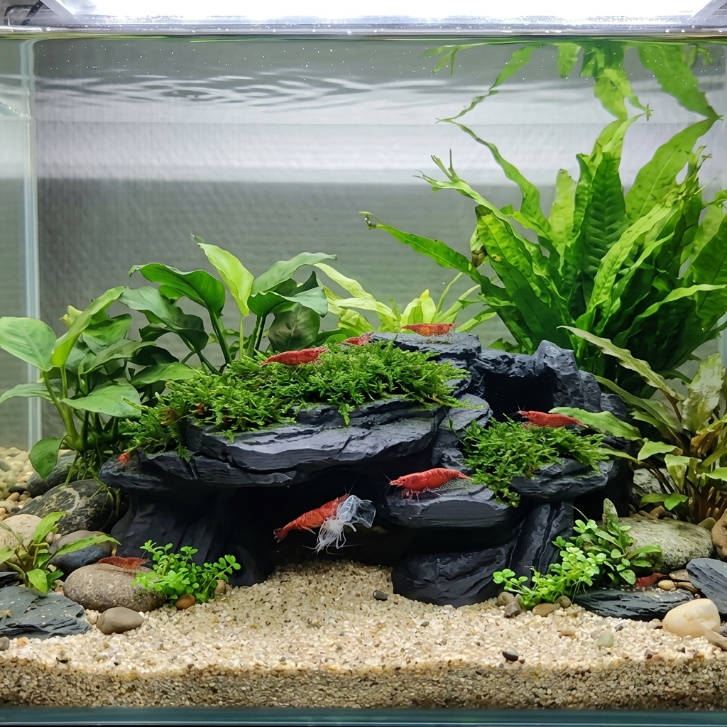 Décoration d'aquarium cachée e - Aquarium Plant Root Tabs avis et prix