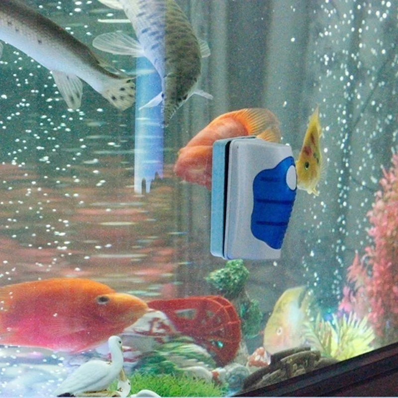 Nettoyeur de grattoir de verre - Planted Aquarium Tools avis et prix