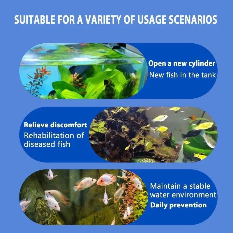 SIKEZHAN Traitement des maladi - Aquarium Plant Root Tabs avis et prix