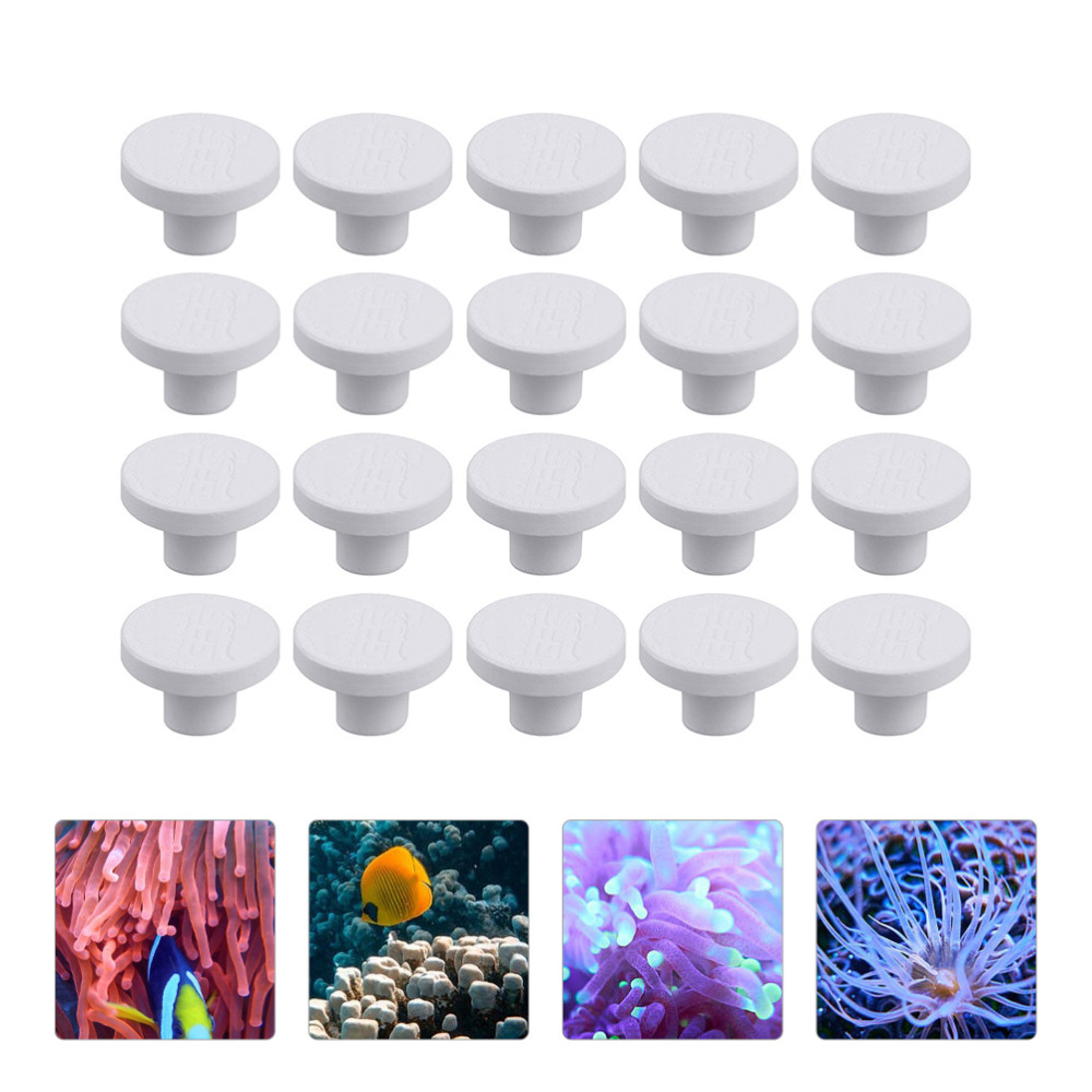Base carrée en céramique SPS p - Aquarium Plant Design avis et prix
