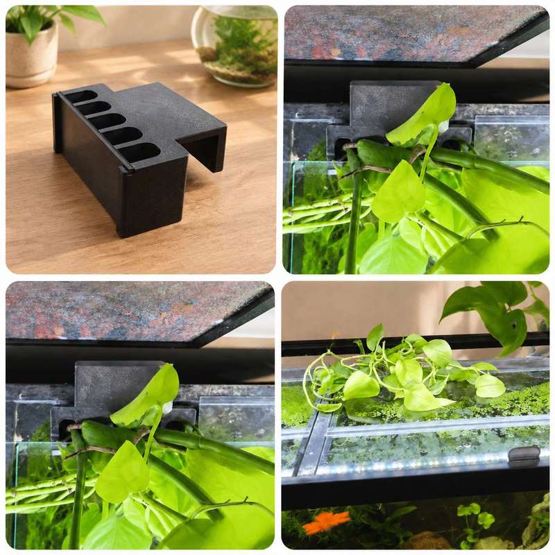 Support latéral pour plantes d - Aquarium Planted Soil avis et prix
