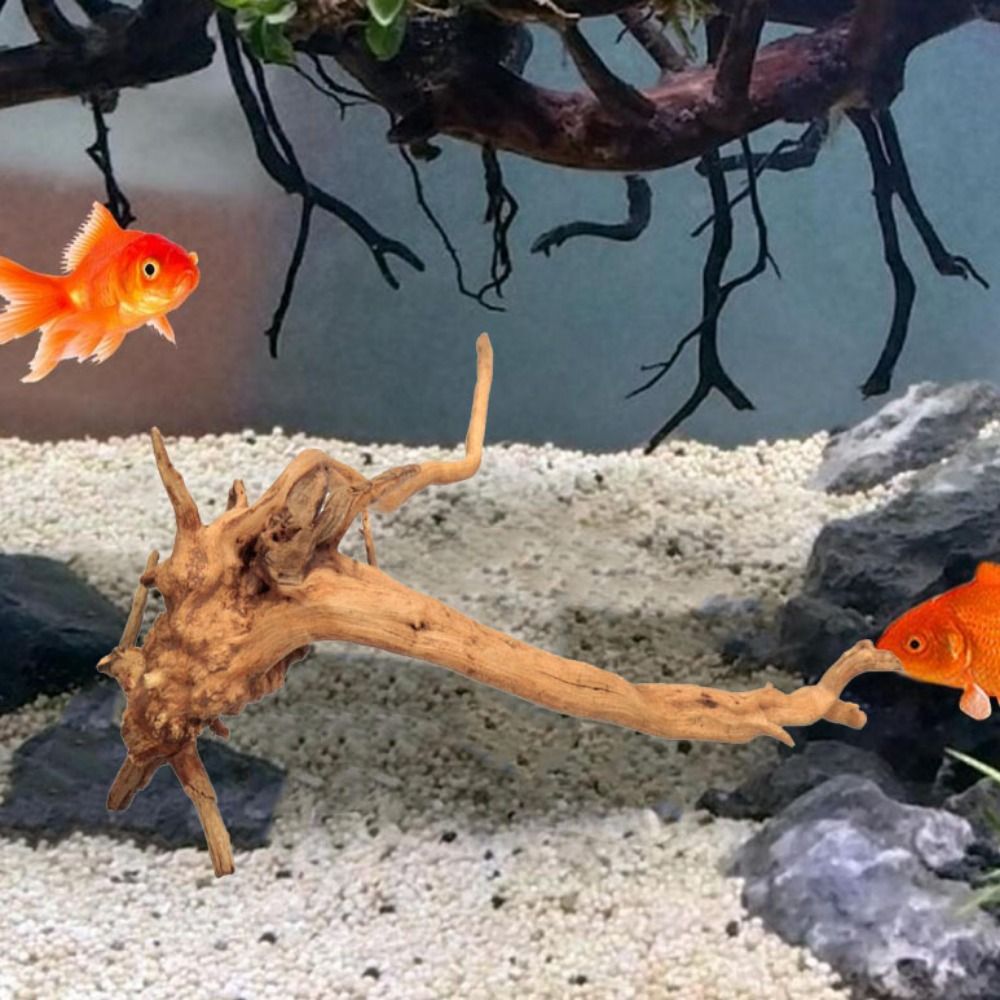 Tronc d'arbre naturel pour déc - Aquarium Plant Design avis et prix