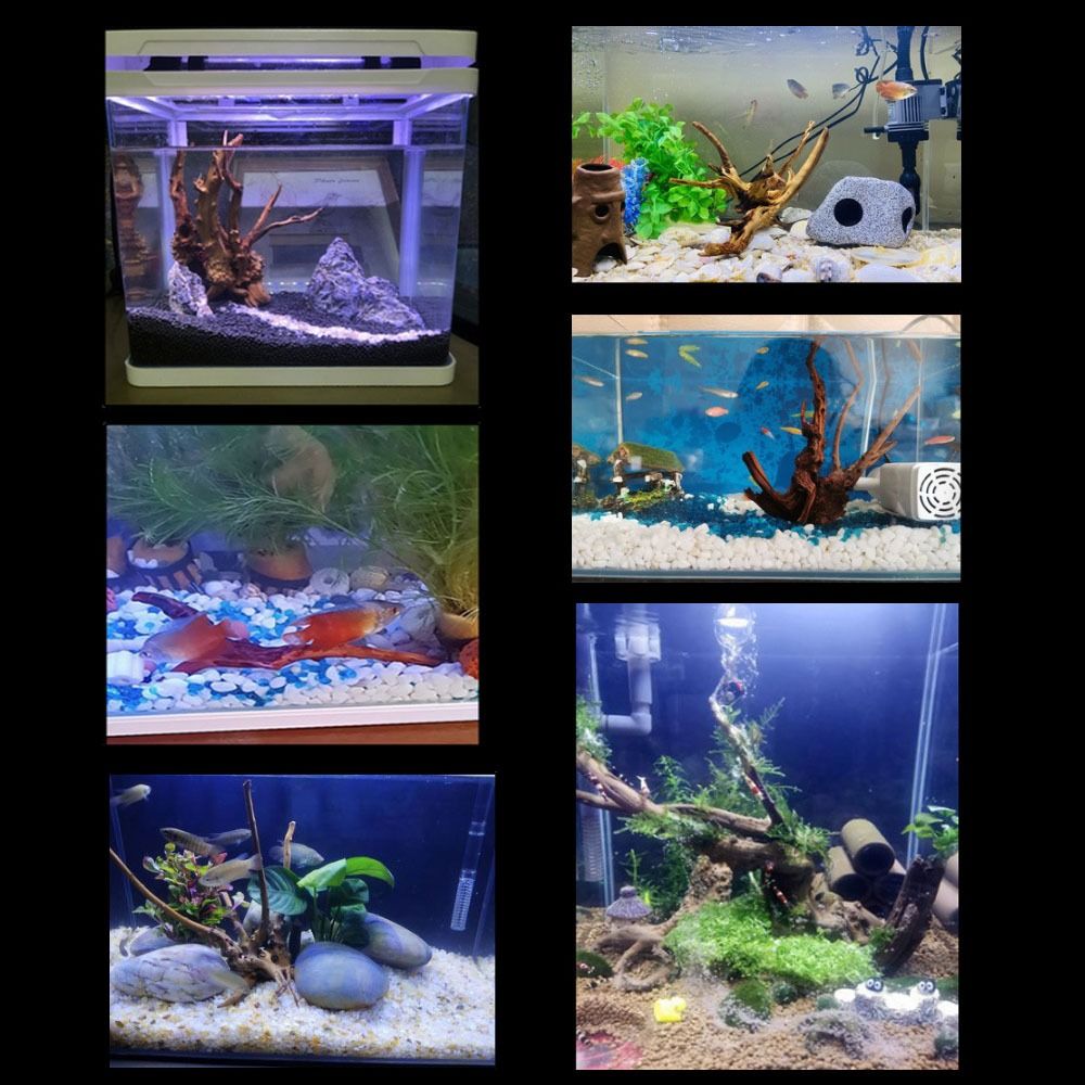 Tronc d'arbre naturel pour déc - Aquarium Plant Design avis et prix