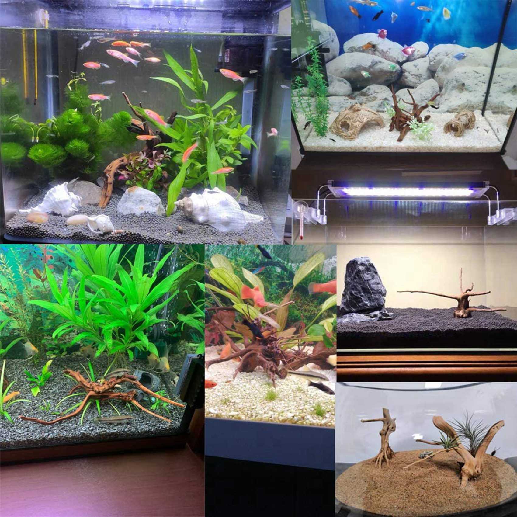Offre spéciale-Mini bois flott - Aquarium Plant Root Tabs avis et prix