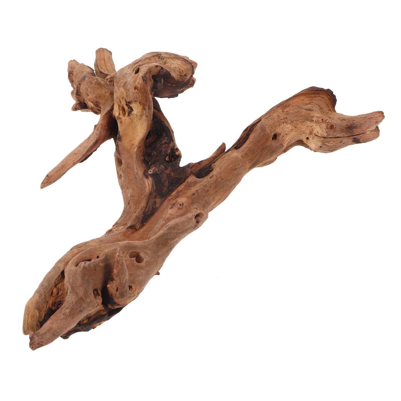 Décor en bois mort pour Aquari - Aquarium Plant Root Tabs avis et prix