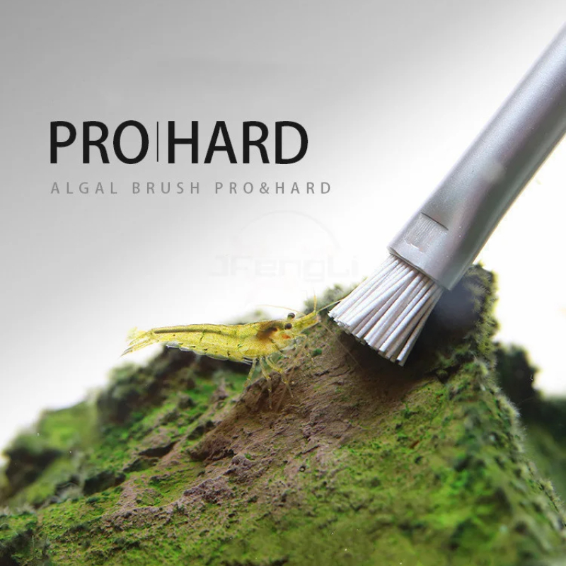 Aquapro brosse à algues brosse - Planted Aquarium Tools avis et prix