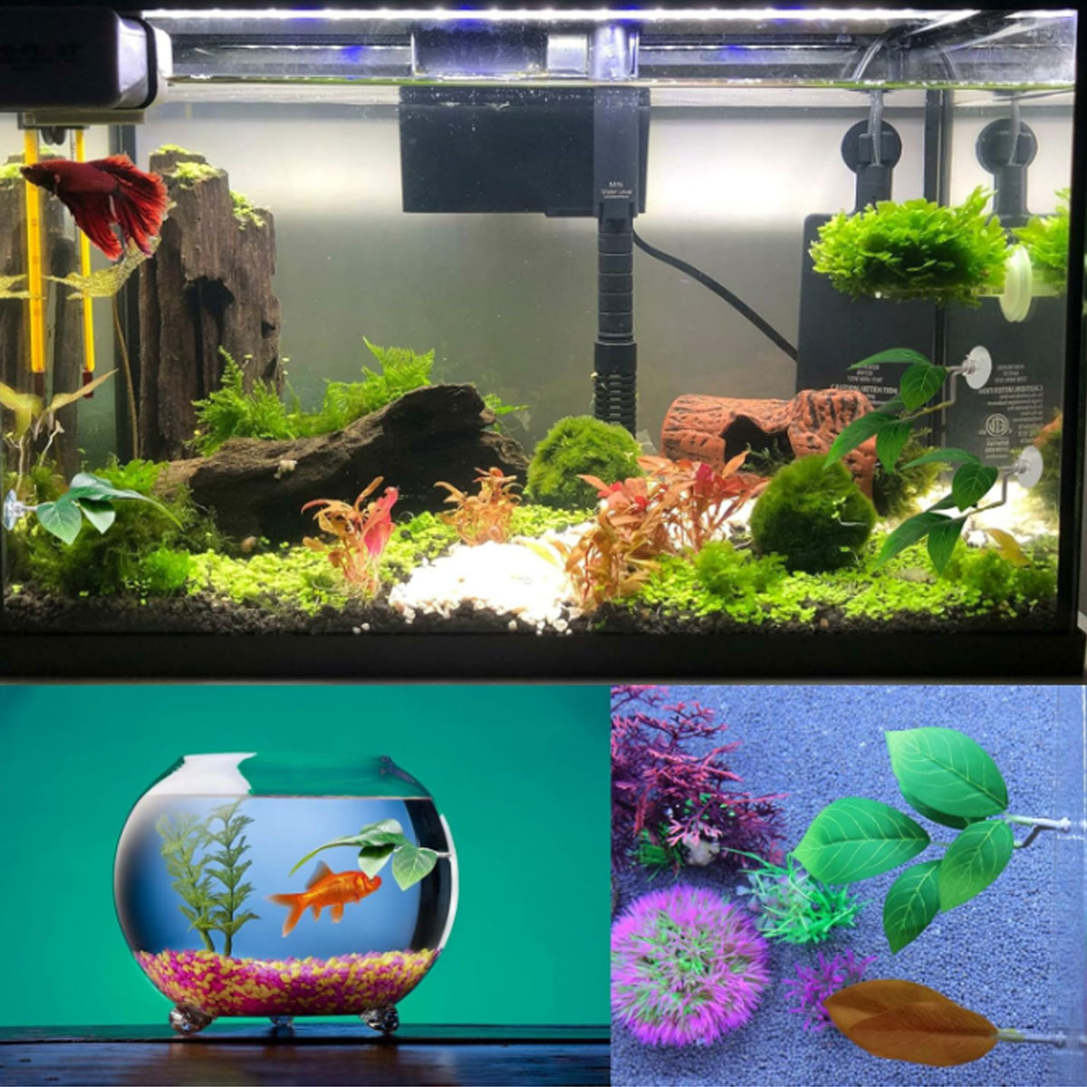 1 hamac pour poisson Betta, dé - Aquarium Plant Design avis et prix