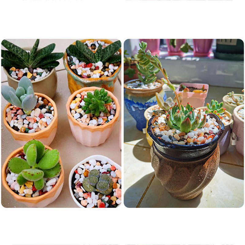 Sable de fond d'aquarium, acce - Aquarium Planted Soil avis et prix
