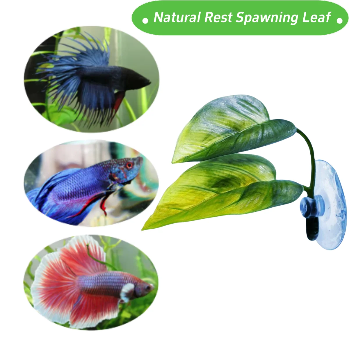 Décor d'aquarium pour animaux  - Aquarium Plant Design avis et prix