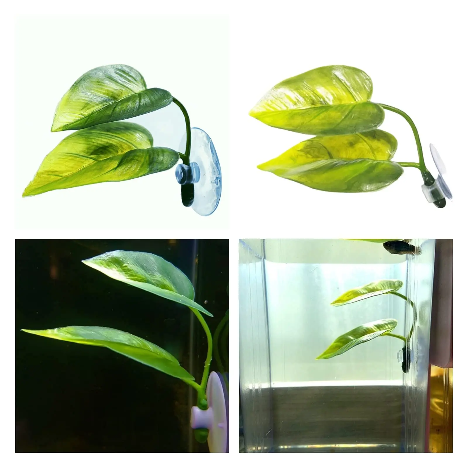 Décor d'aquarium pour animaux  - Aquarium Plant Design avis et prix