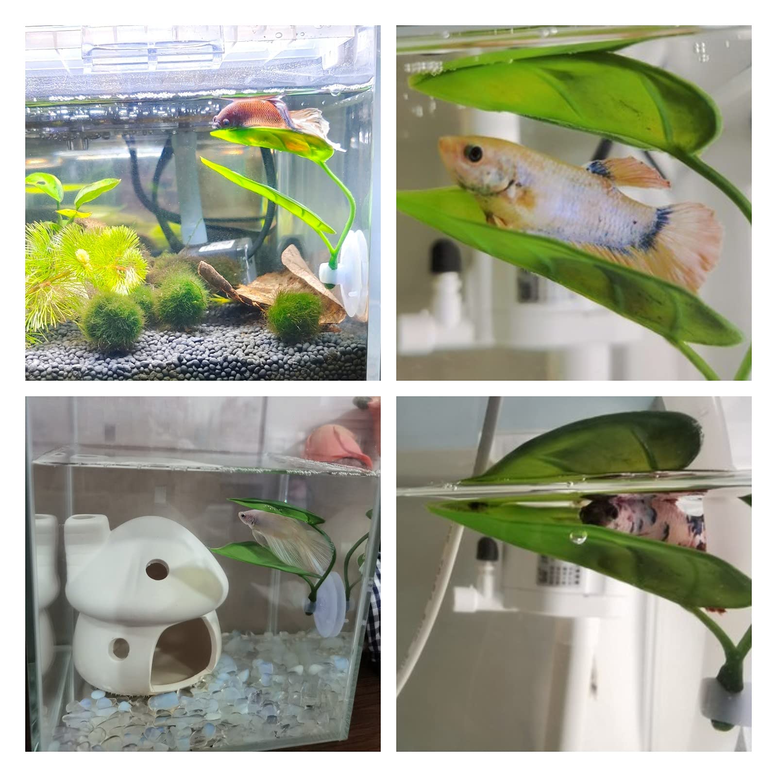 Décor d'aquarium pour animaux  - Aquarium Plant Design avis et prix