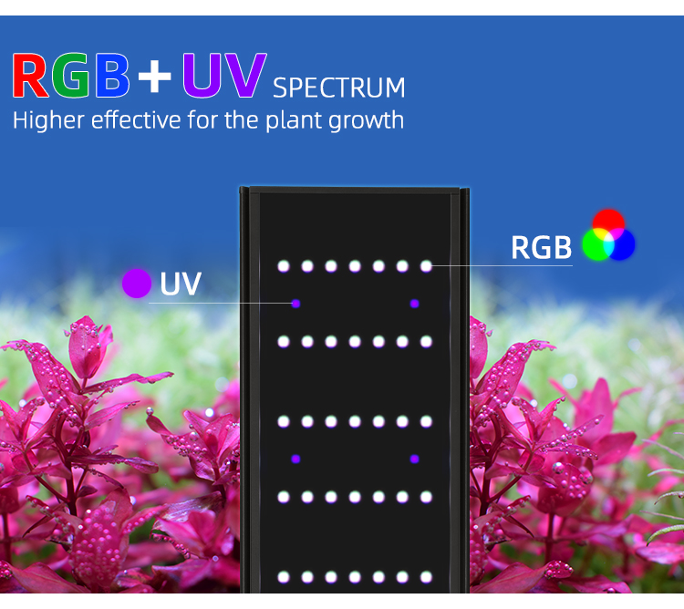 WEconvex-Variateur et minuteri - Aquarium Plant Grow Light avis et prix