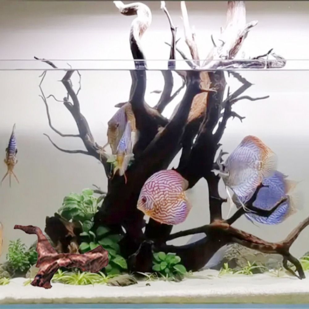 Décoration d'aquarium de coffr - Aquarium Plant Root Tabs avis et prix