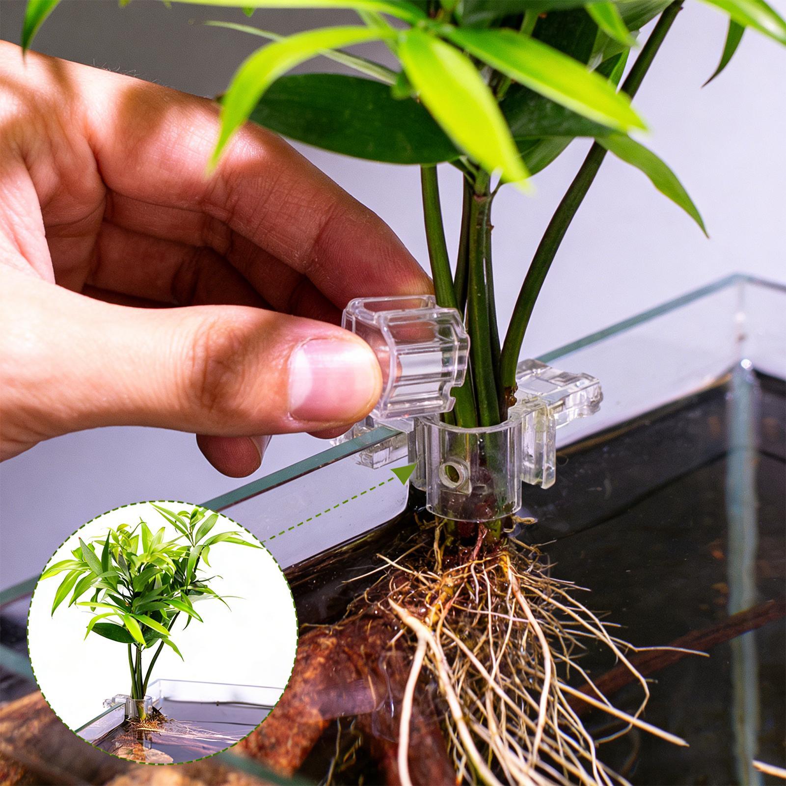 Support de plantes pour aquari - Aquarium Planted Soil avis et prix