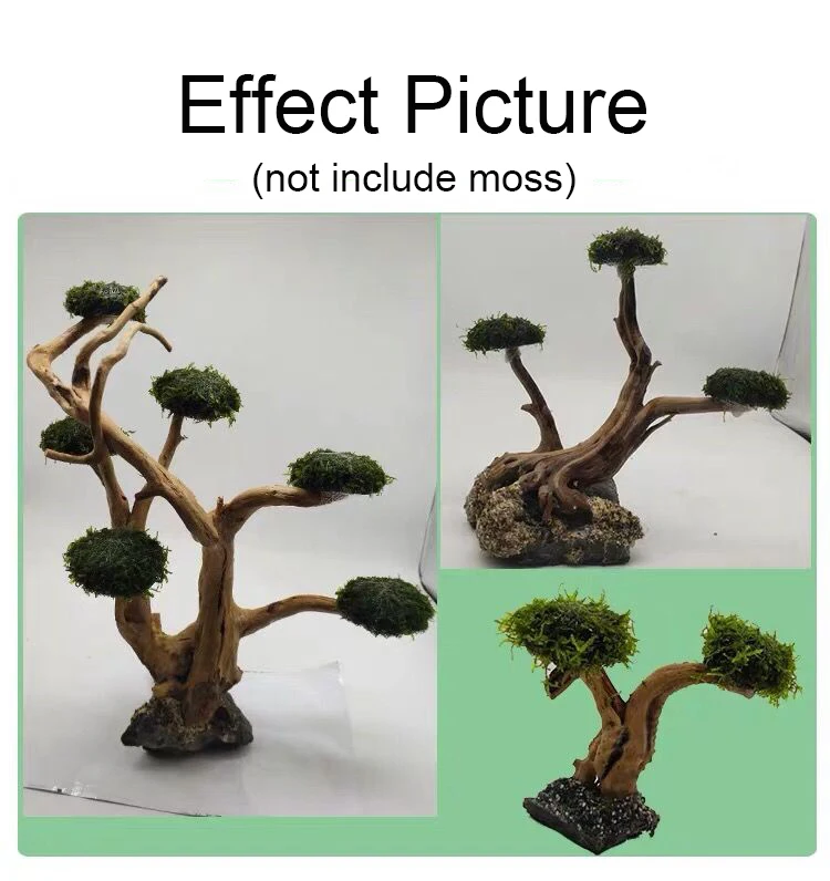 Décoration en bois flotté pour - Aquarium Plant Root Tabs avis et prix