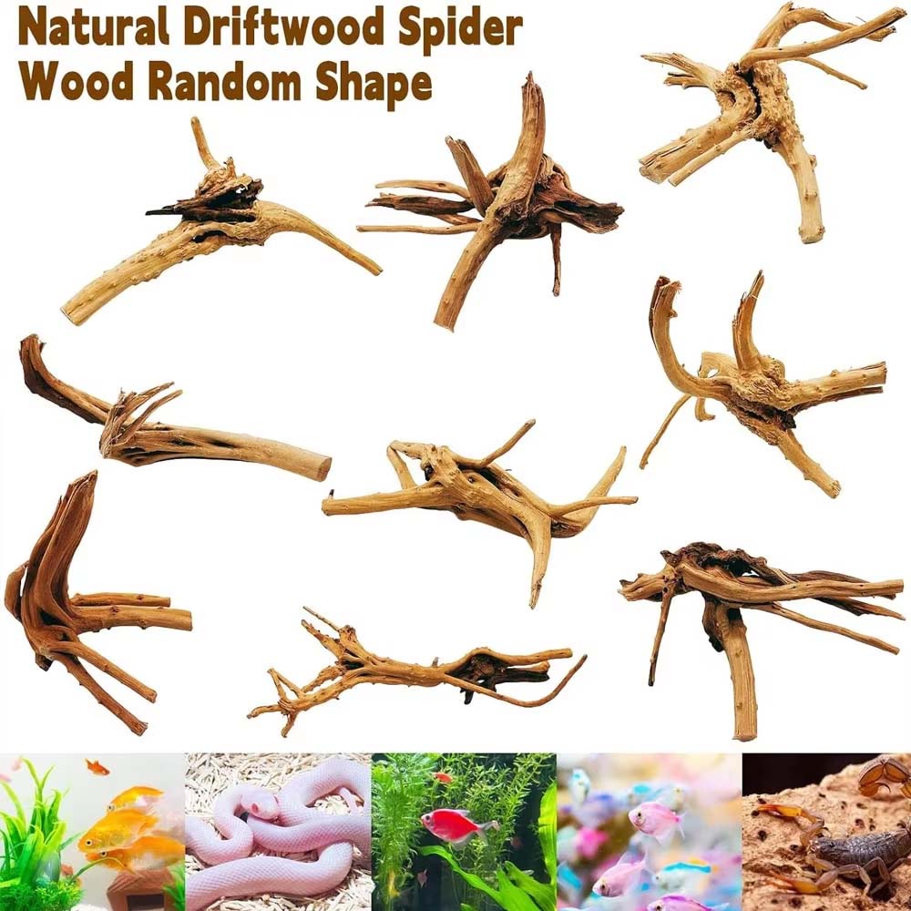 1 pièce de bois flotté pour aq - Aquarium Plant Root Tabs avis et prix