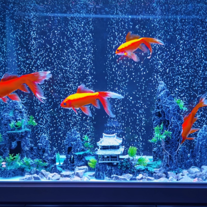 Décoration d'aquarium : ensemb - Aquarium Plant Root Tabs avis et prix