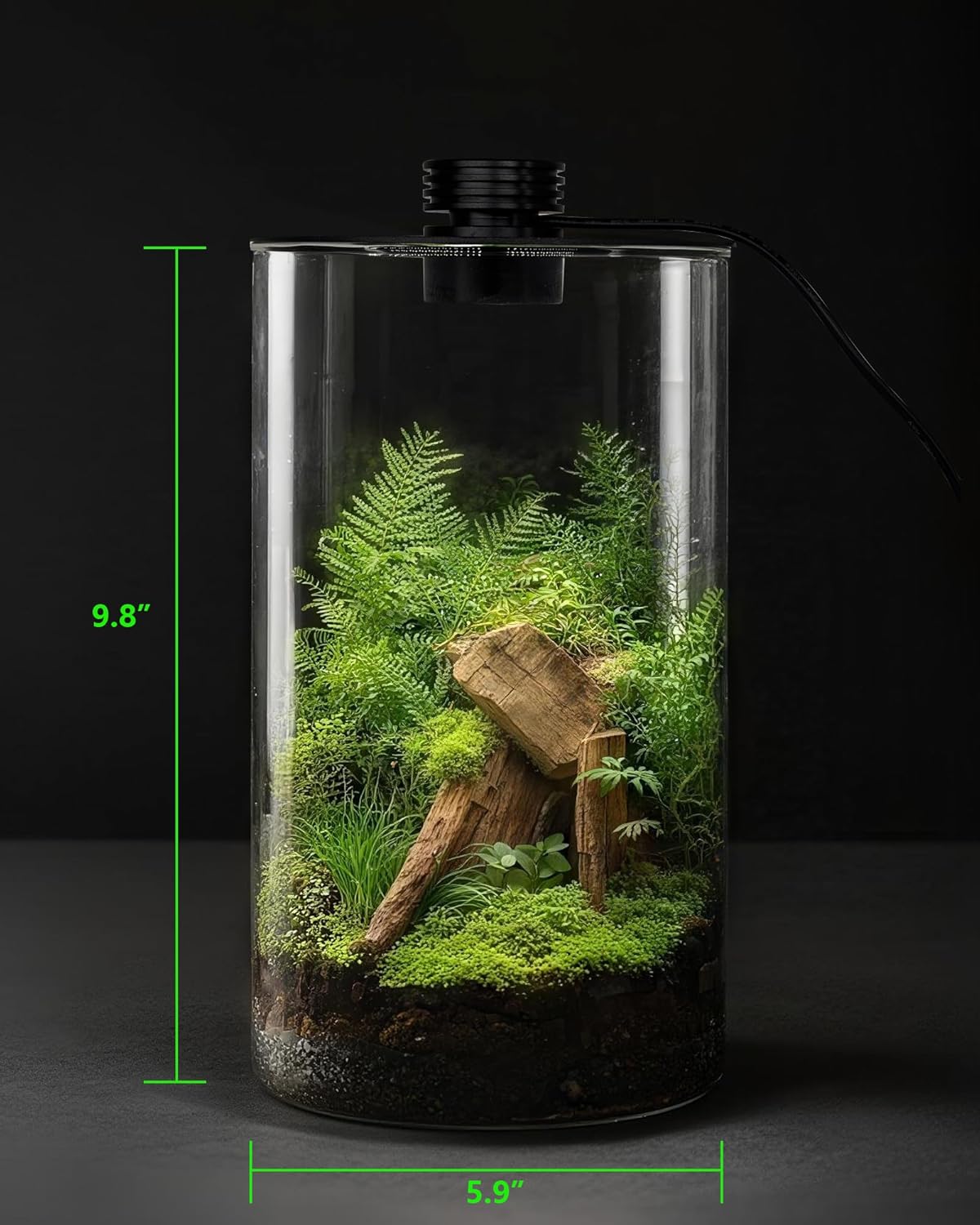 Terrarium en verre d'intérieur - Aquarium Plants avis et prix