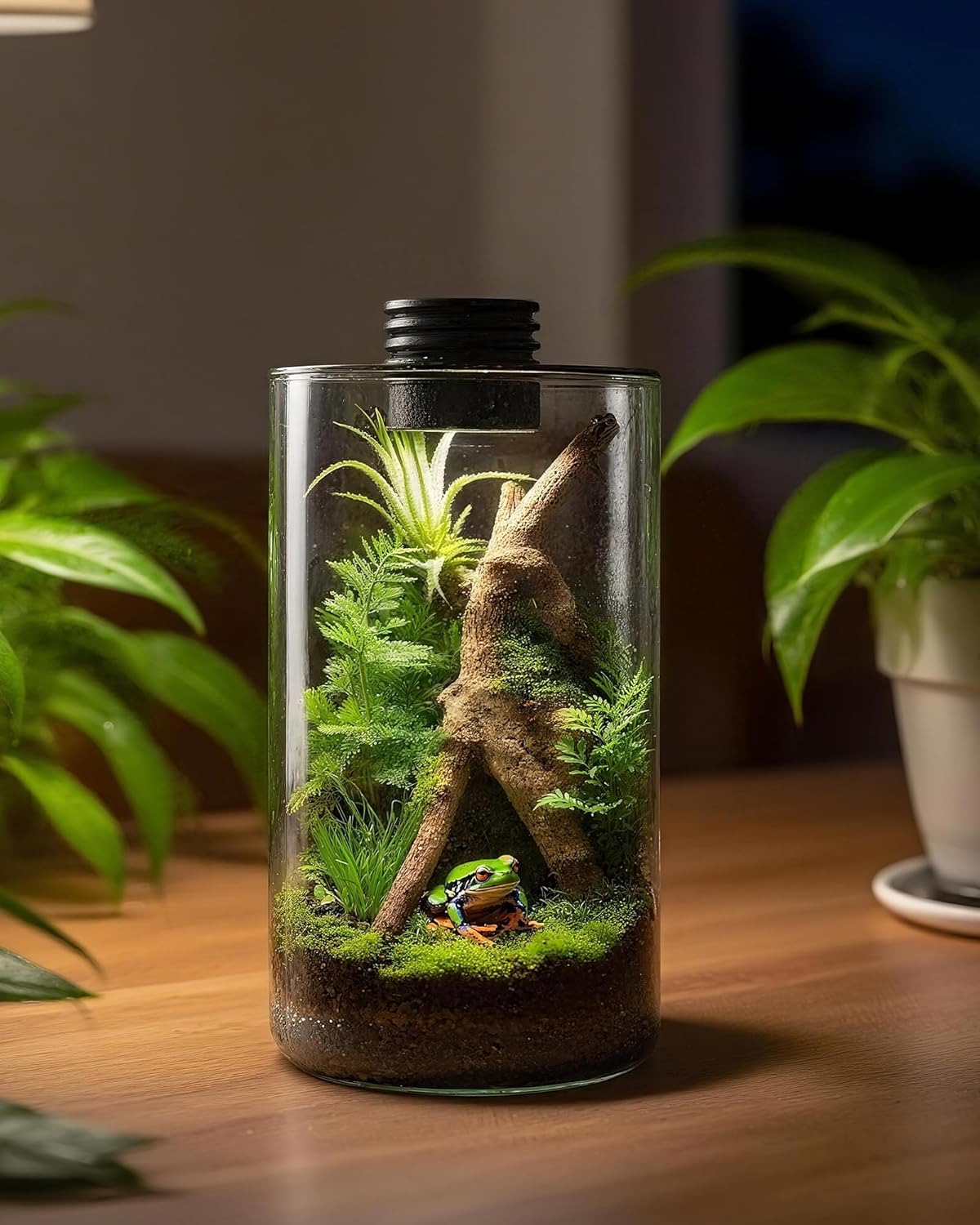 Terrarium en verre d'intérieur - Aquarium Plants avis et prix