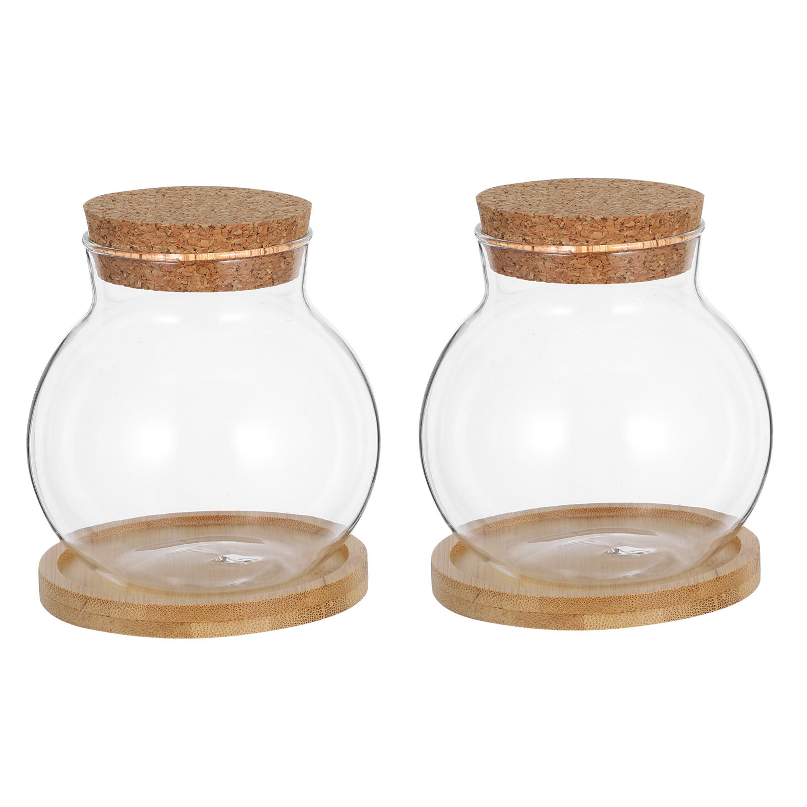 2 ensembles de vases hydroponi - Aquarium Plants avis et prix