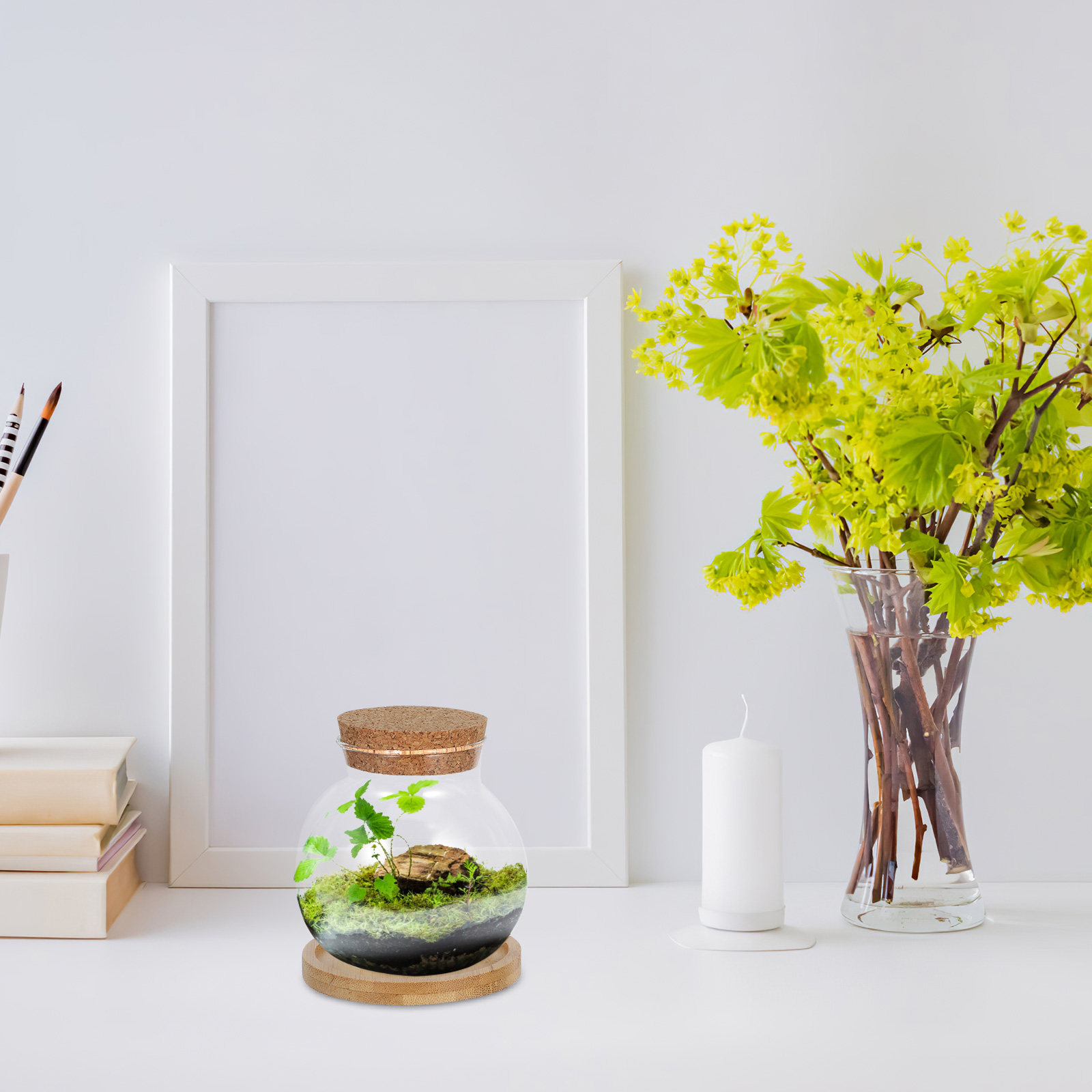 2 ensembles de vases hydroponi - Aquarium Plants avis et prix