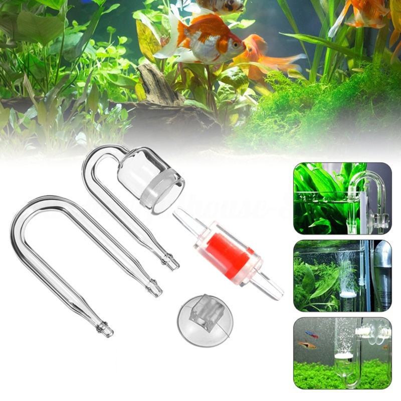 Diffuseur de CO2 pour aquarium - Aquarium Plant In Pot avis et prix