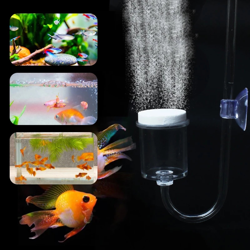Diffuseur de CO2 pour aquarium - Aquarium Plant In Pot avis et prix