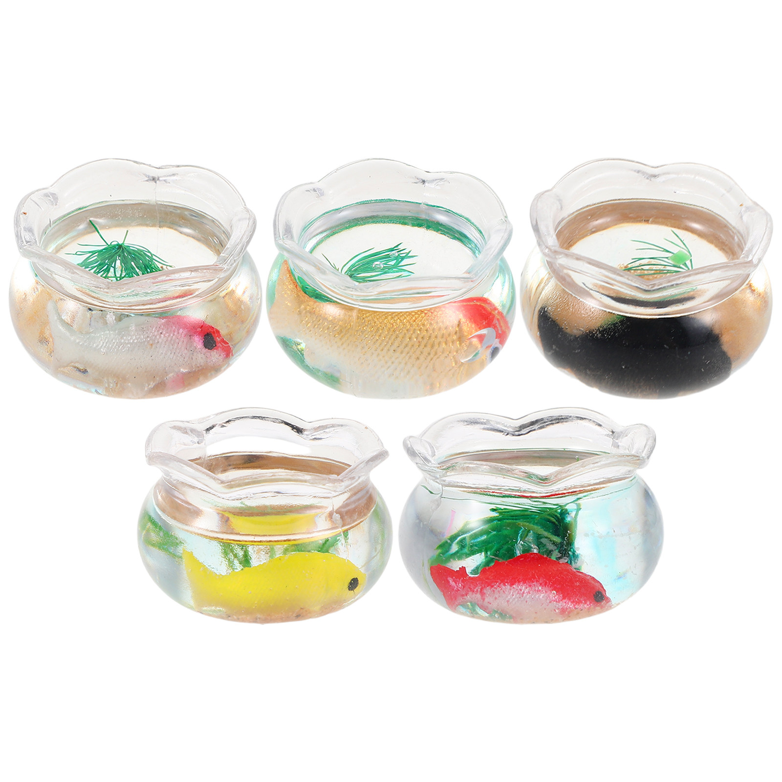 5 pièces de mini aquariums ron - Aquarium Plants avis et prix